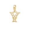 Colgante letra "Y" circonitas 16mm