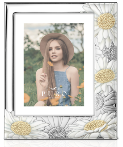 Marco plateado margaritas a color