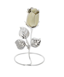 Rosa perfumada color blanco