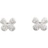 Pendientes plata mariposa circonitas