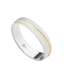 Alianza plata bicolor rayada