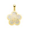 Colgante oro flor con nácar